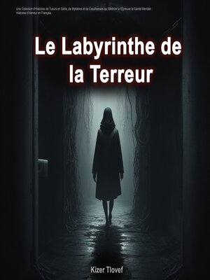cover image of Le Labyrinthe de la Terreur